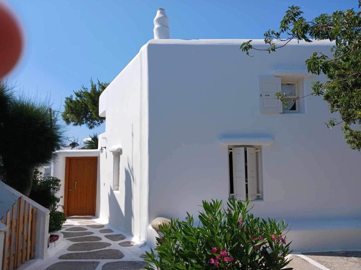 Cassaris Mykonos Villa Drafaki Exterior foto