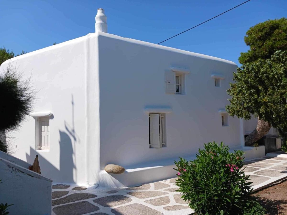 Cassaris Mykonos Villa Drafaki Exterior foto