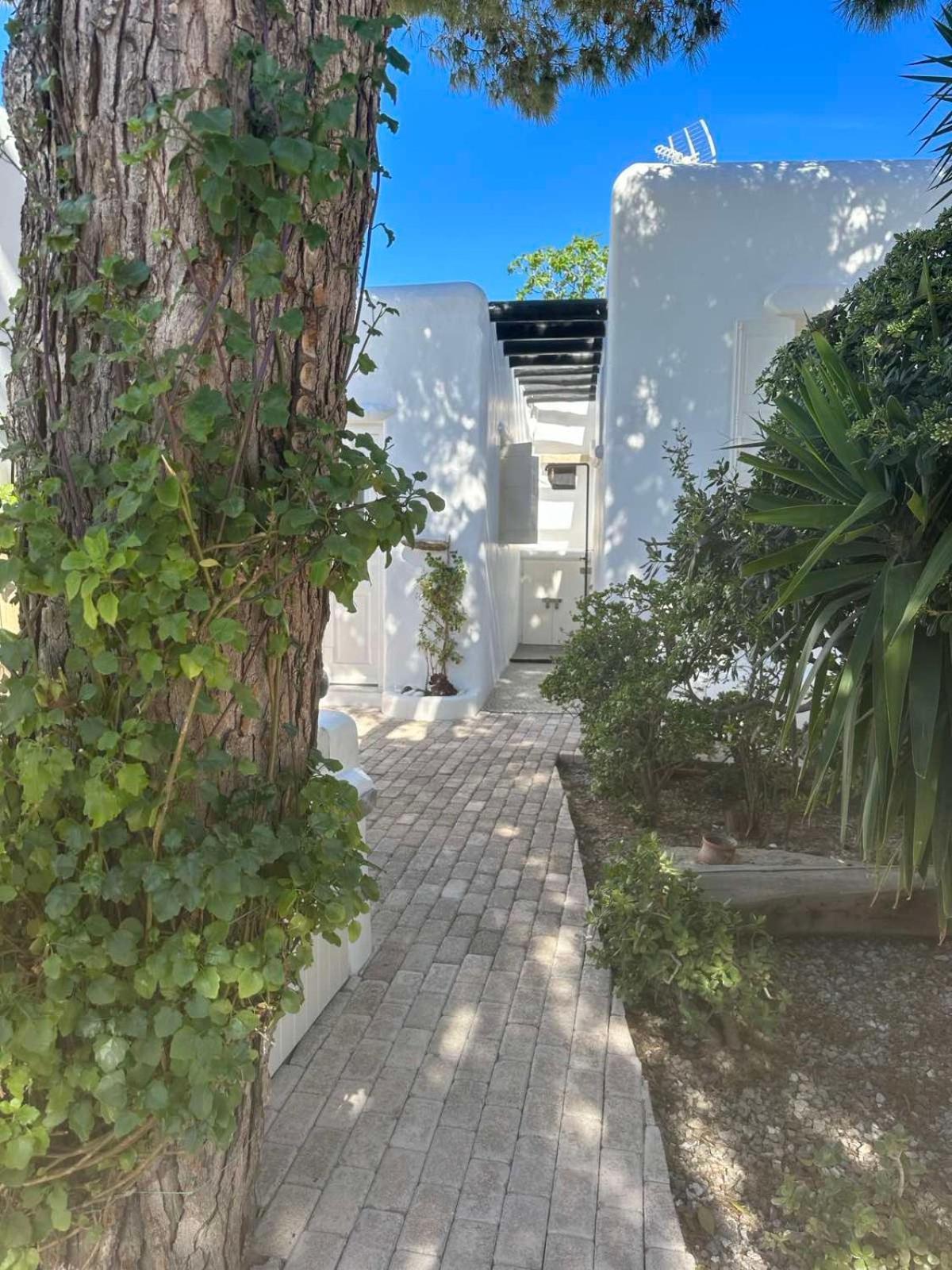 Cassaris Mykonos Villa Drafaki Exterior foto